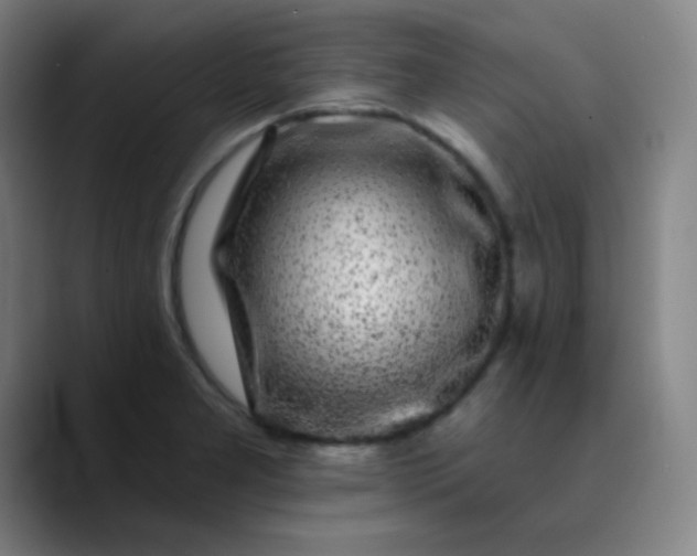 X0000089881277200707121806