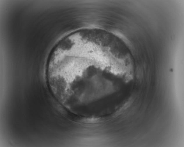 X0000089881278200707121806