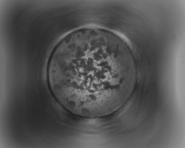 X0000089881279200707121806