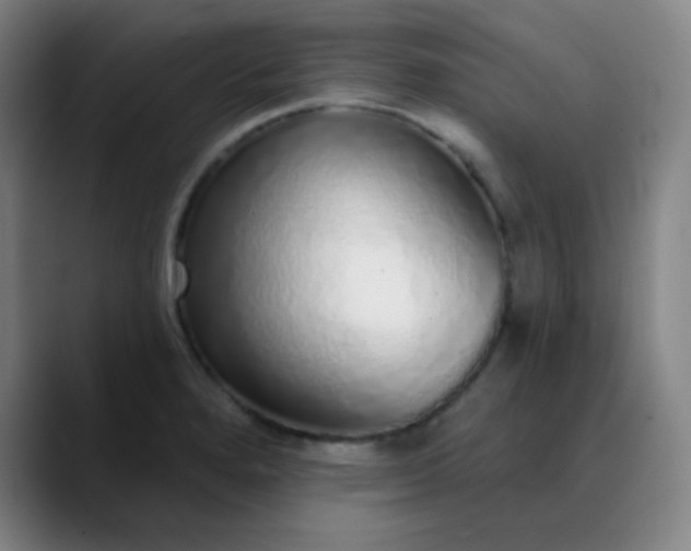 X0000089881280200707121806