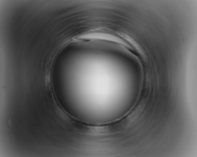 X0000089881281200707121806