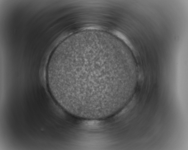 X0000089881282200707121806