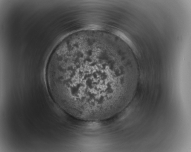 X0000089881283200707121806