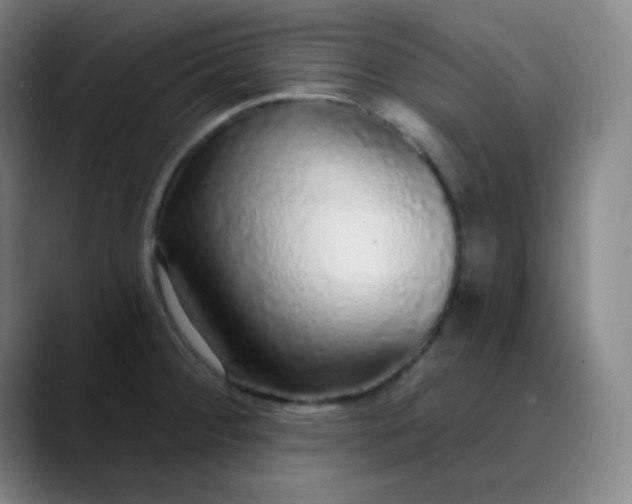 X0000089881284200707121806