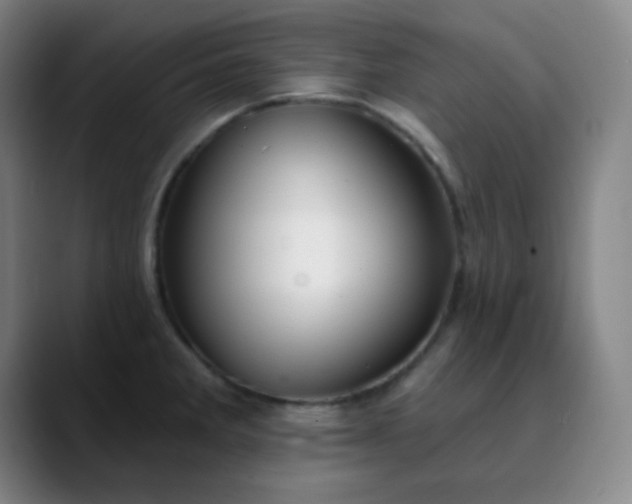 X0000089881285200707121806