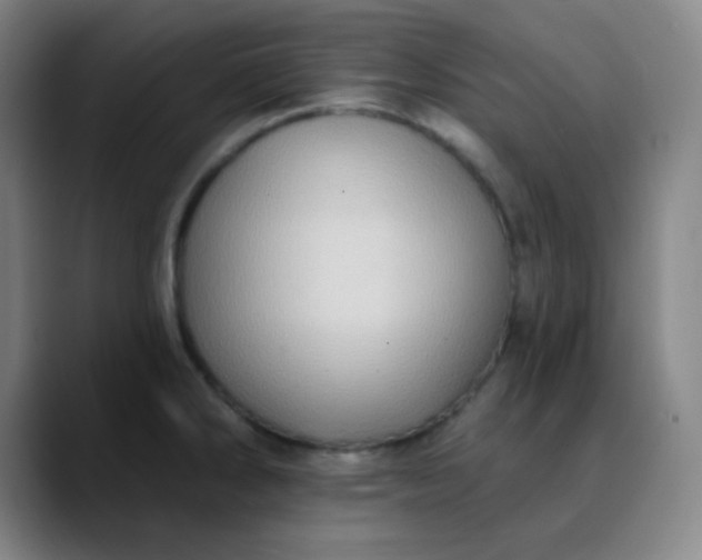 X0000089881286200707121806