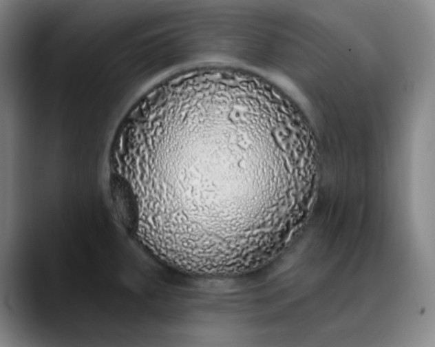 X0000089881287200707121806