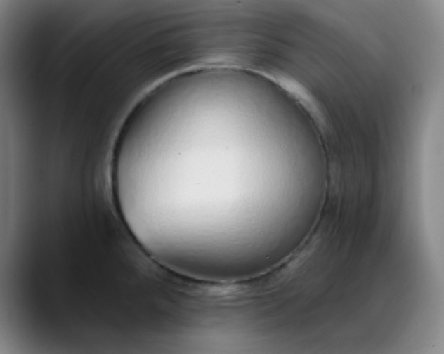 X0000089881288200707121806