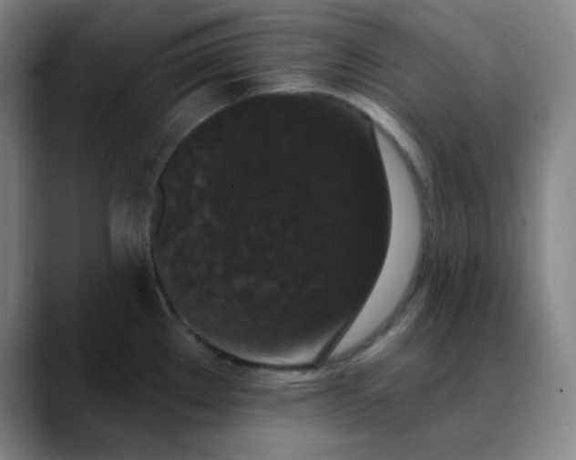 X0000089881289200707121806