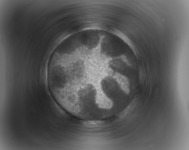 X0000089881290200707121806