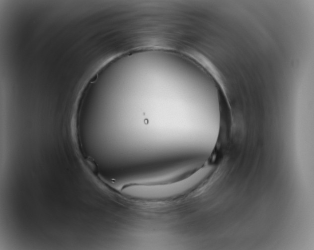 X0000089881293200707121806