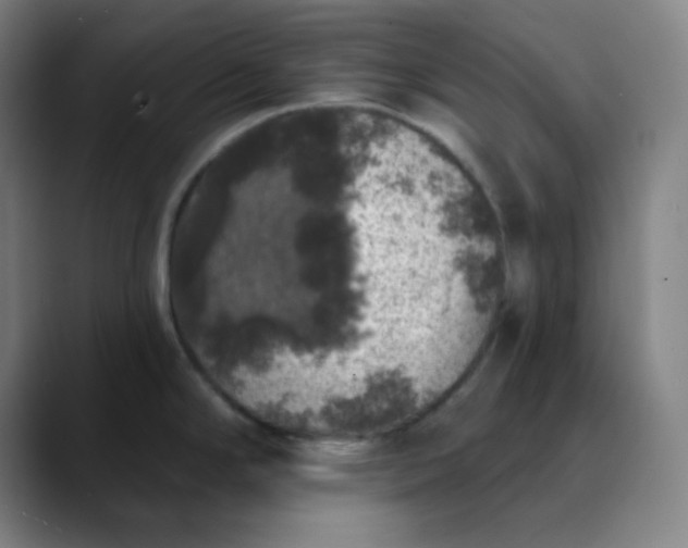 X0000089881294200707121806