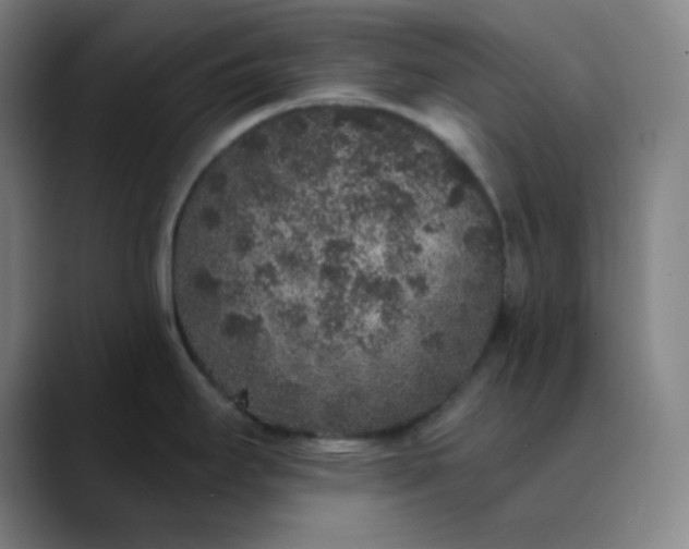 X0000089881295200707121806