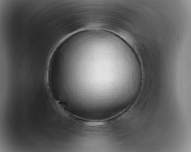 X0000089881296200707121806