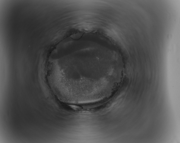 X0000089881297200707121805