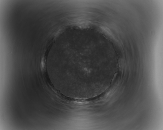 X0000089881298200707121805