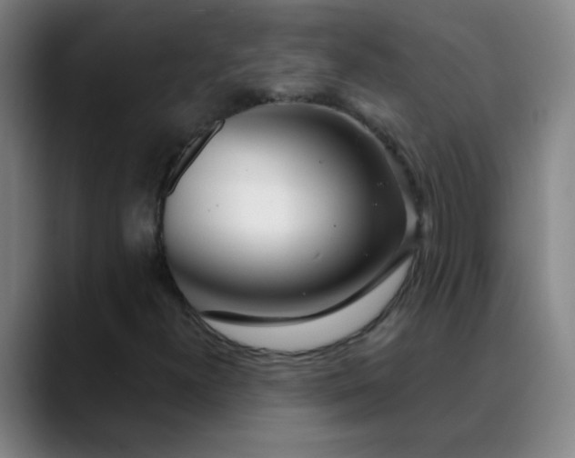 X0000089881300200707121805