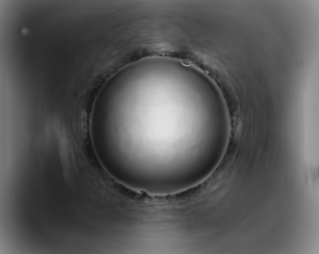 X0000089881301200707121805