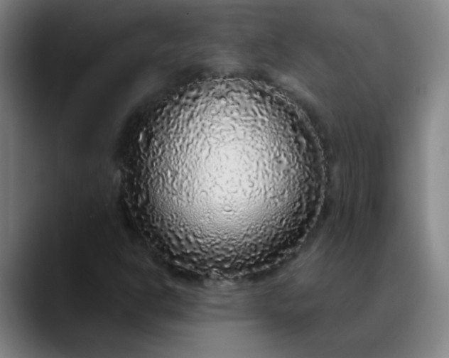 X0000089881302200707121805