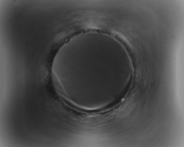 X0000089881303200707121805