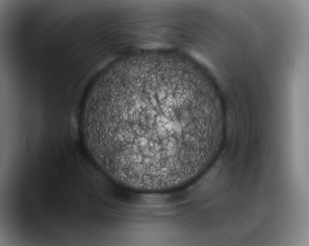 X0000089881305200707121805