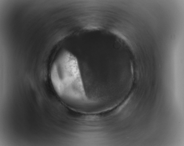 X0000089881306200707121805