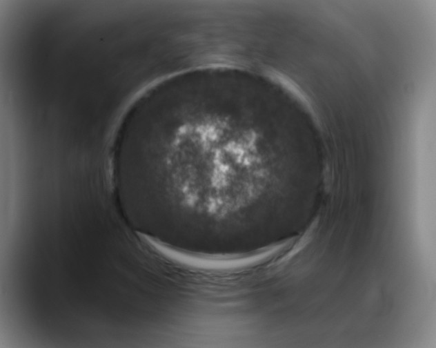 X0000089881310200707121805