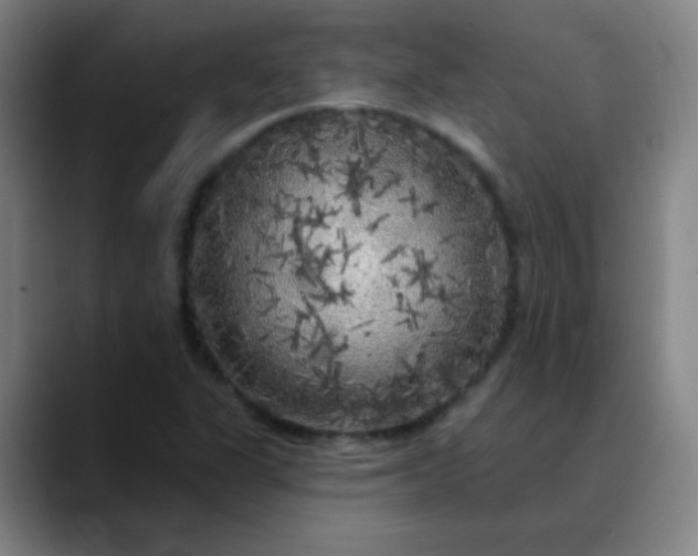 X0000089881311200707121805