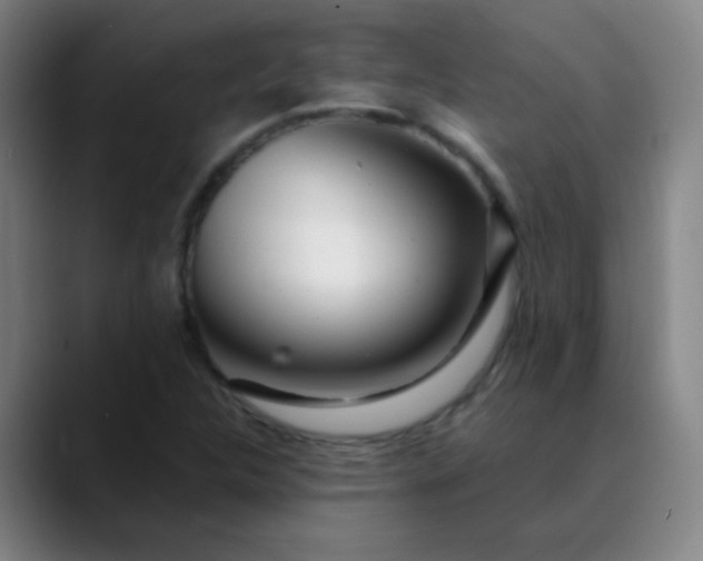 X0000089881312200707121805