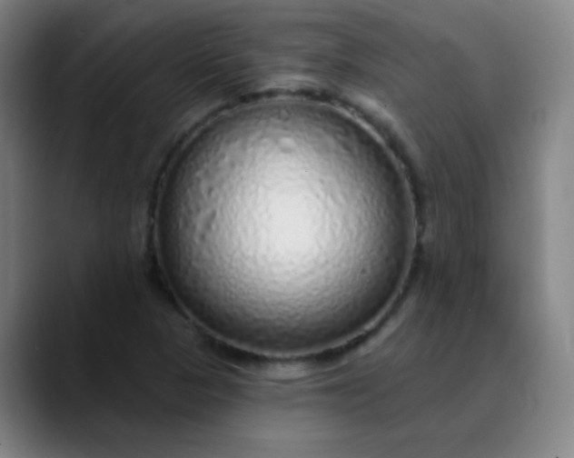 X0000089881313200707121805