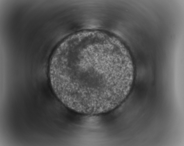 X0000089881314200707121805