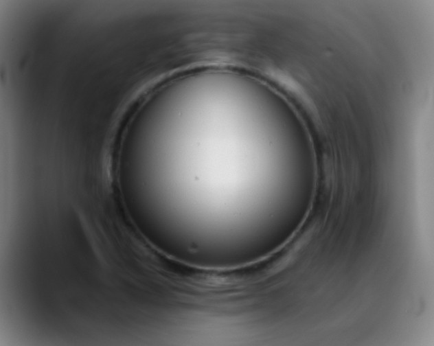 X0000089881318200707121805