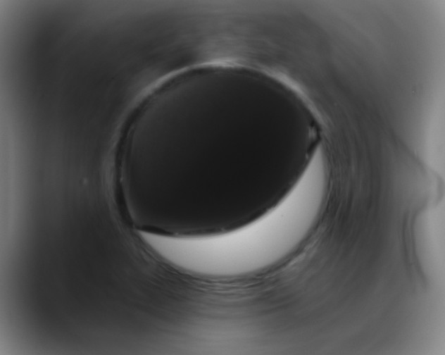 X0000089881319200707121805