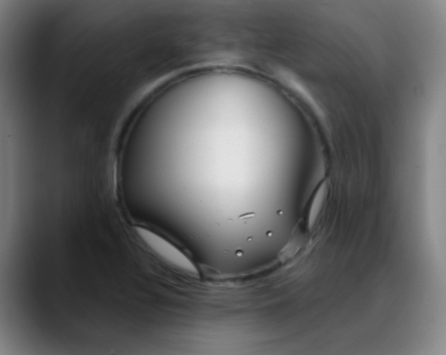 X0000089881320200707121805