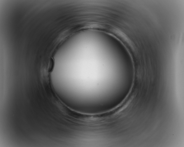 X0000089881321200707121805