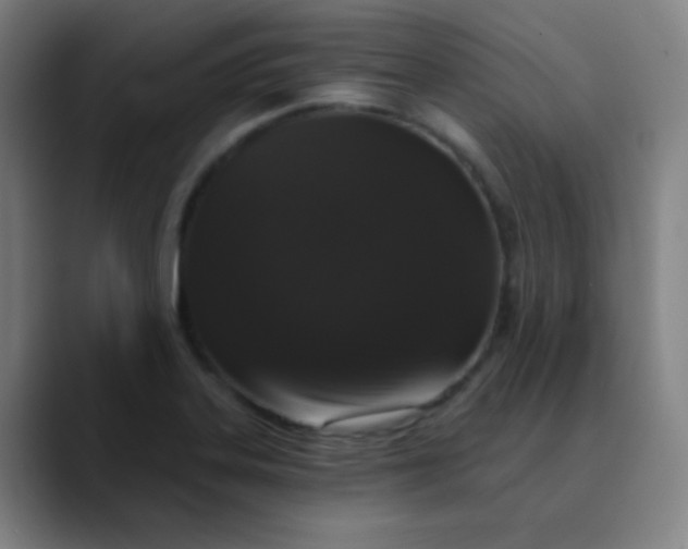 X0000089881323200707121805