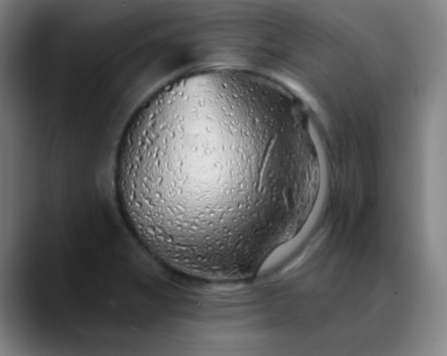 X0000089881325200707121805