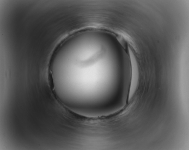 X0000089881326200707121805