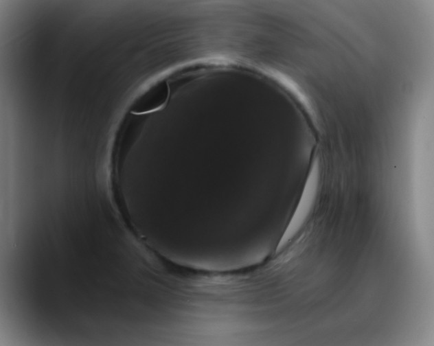 X0000089881327200707121805