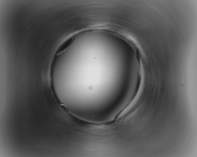 X0000089881328200707121805