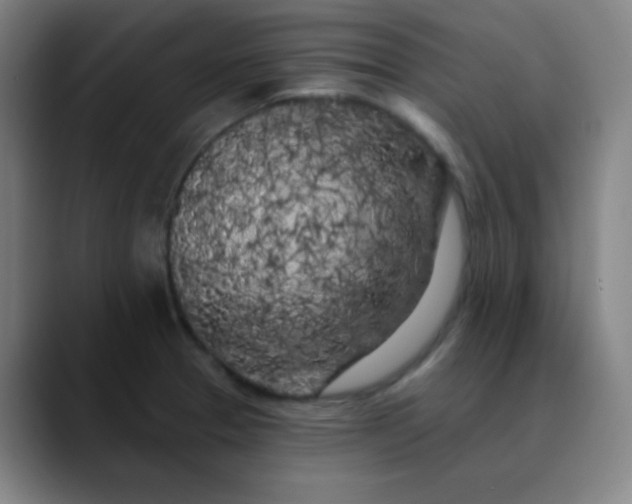 X0000089881329200707121805