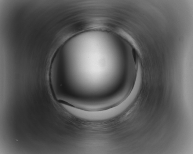 X0000089881330200707121805