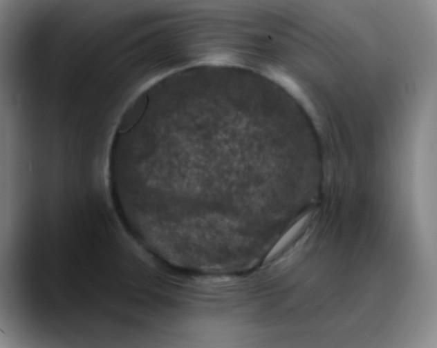 X0000089881331200707121805