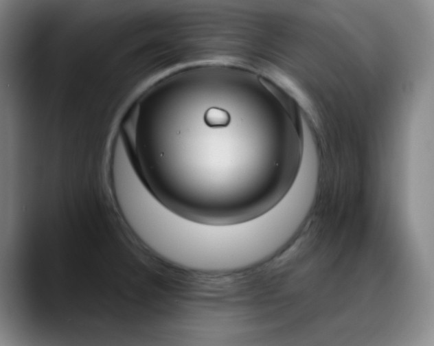 X0000089881332200707121805