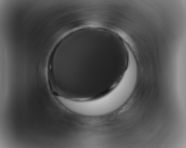 X0000089881334200707121805