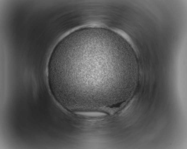 X0000089881335200707121805