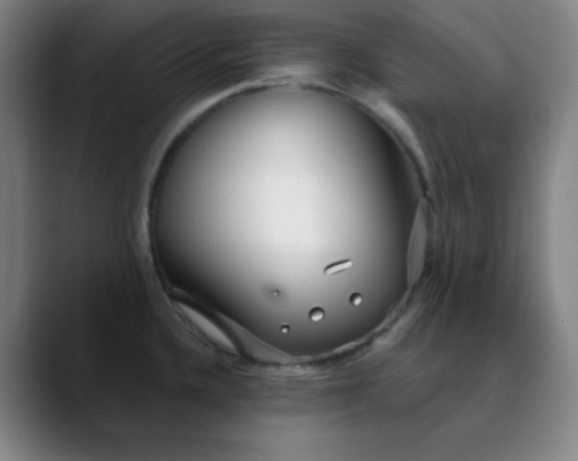 X0000089881336200707121805