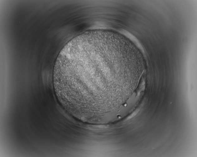 X0000089881337200707121805