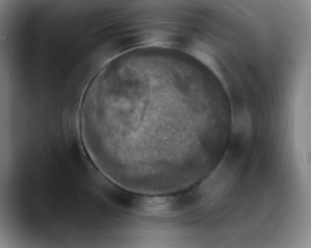 X0000089881338200707121805