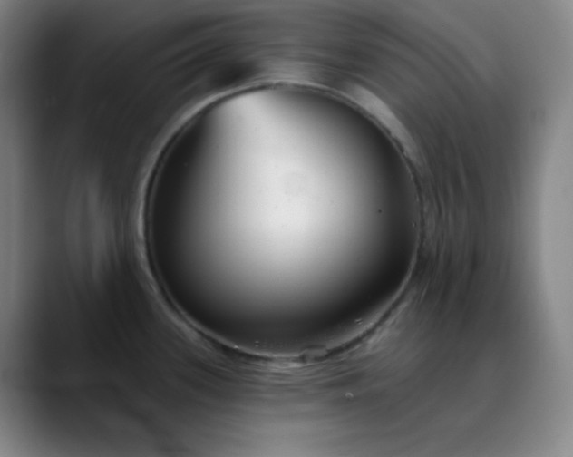 X0000089881339200707121805